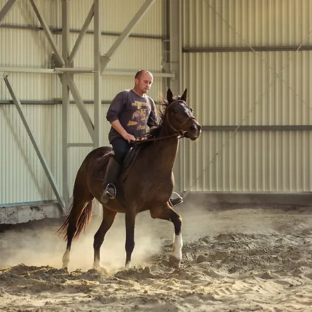 Kentaur Lovaspanzio 3* Hódmezővásárhely